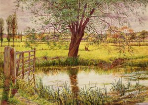 Waterweide, 1865